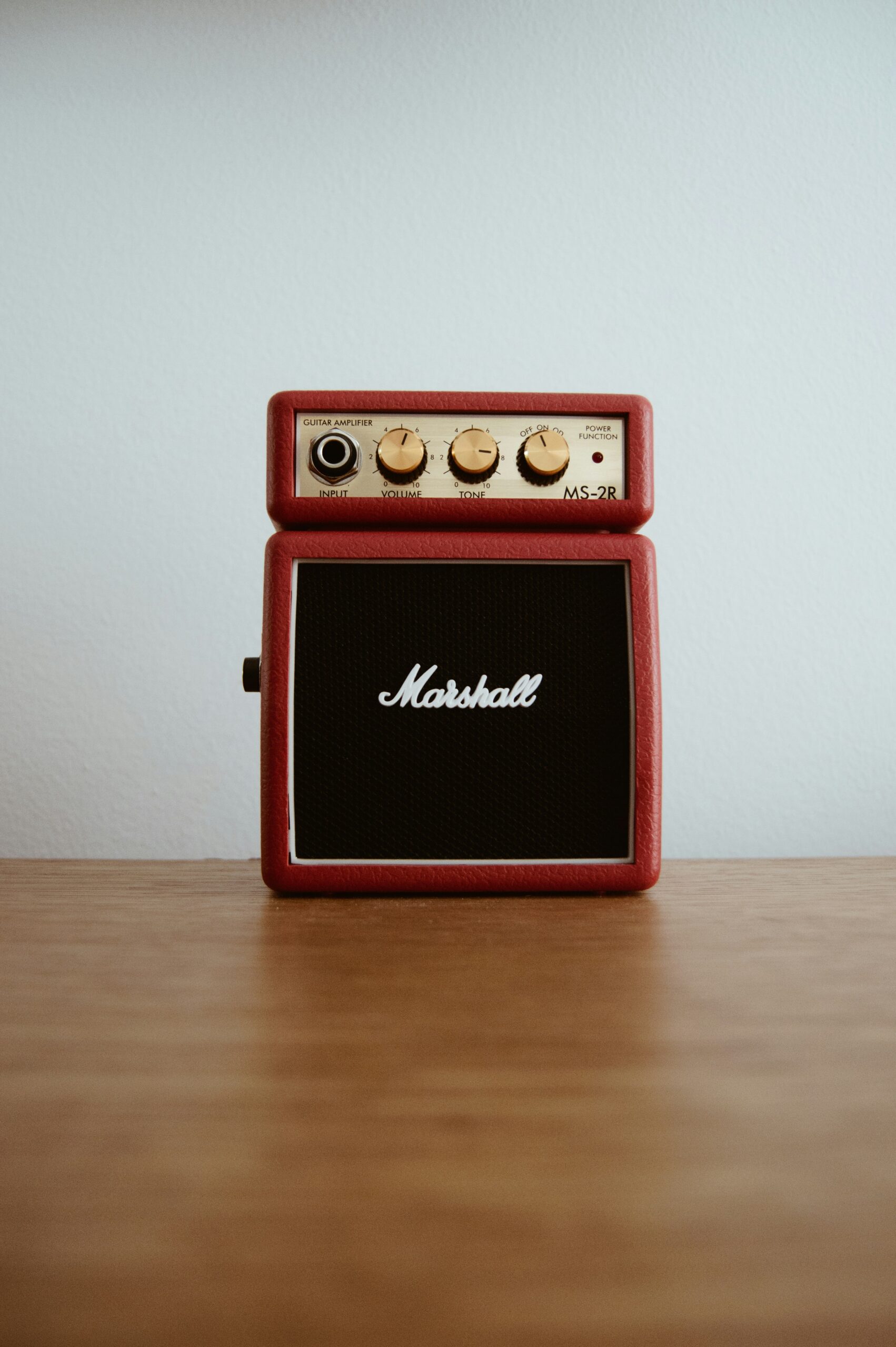 Marshall MS2 micr-amp