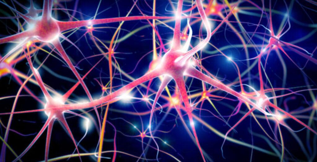 Synapse image